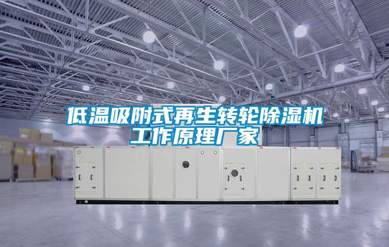 低溫吸附式再生轉輪除濕機工作原理廠(chǎng)家
