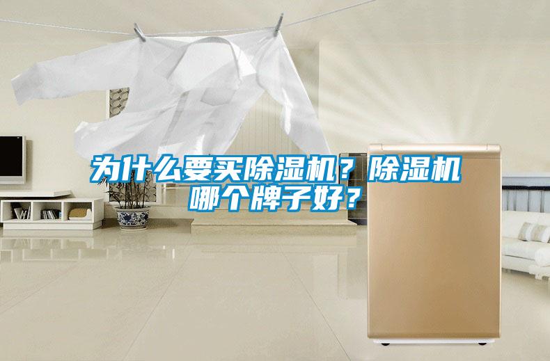 為什么要買(mǎi)除濕機？除濕機哪個(gè)牌子好？