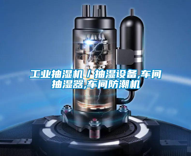 工業(yè)抽濕機／抽濕設備,車(chē)間抽濕器,車(chē)間防潮機