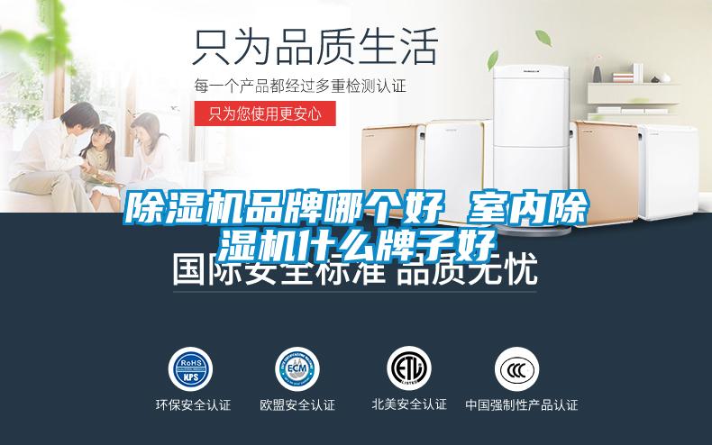 除濕機品牌哪個(gè)好 室內除濕機什么牌子好