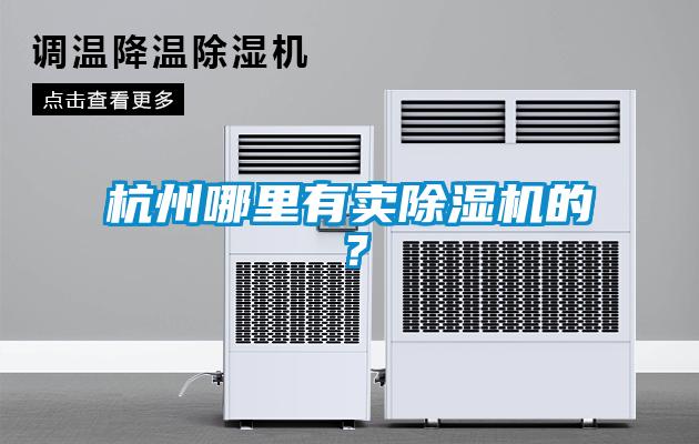 杭州哪里有賣(mài)除濕機的？