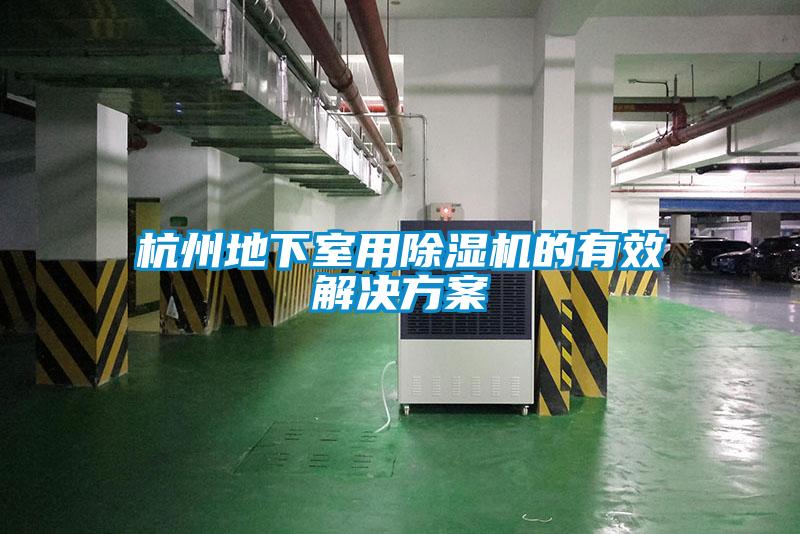 杭州地下室用除濕機的有效解決方案