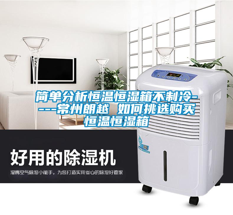 簡(jiǎn)單分析恒溫恒濕箱不制冷----常州朗越 如何挑選購買(mǎi)恒溫恒濕箱