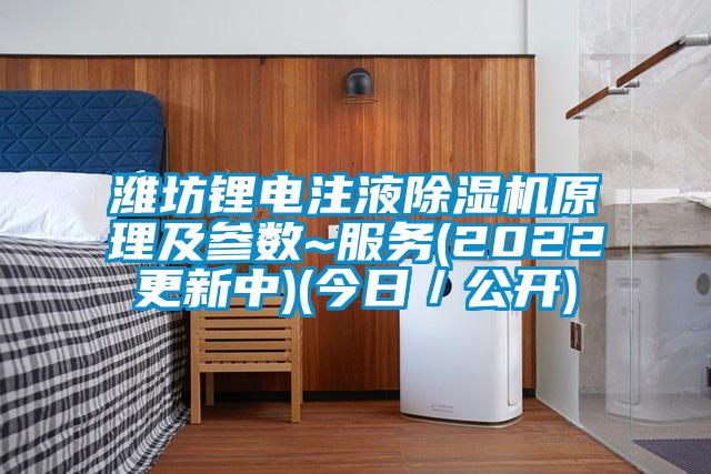 濰坊鋰電注液除濕機原理及參數~服務(wù)(2022更新中)(今日／公開(kāi))