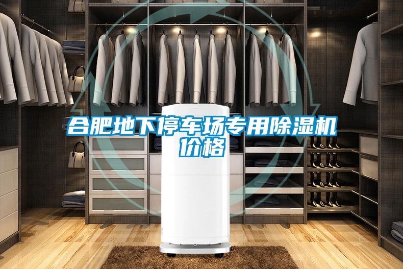 合肥地下停車(chē)場(chǎng)專(zhuān)用除濕機價(jià)格