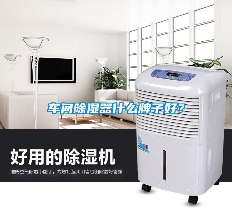 車(chē)間除濕器什么牌子好？