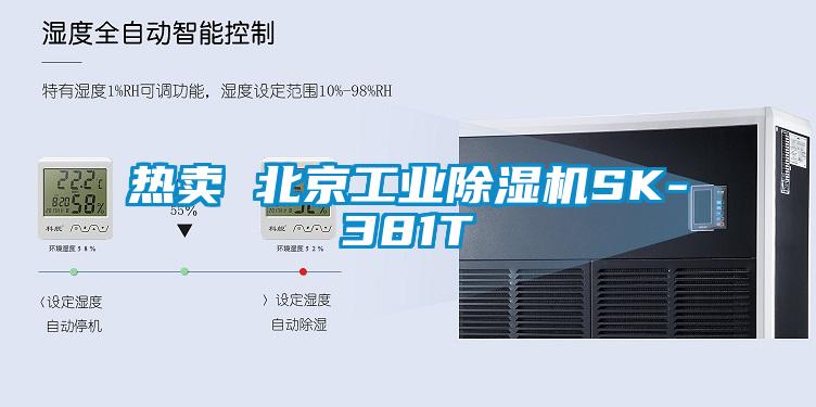 熱賣(mài) 北京工業(yè)除濕機SK-381T