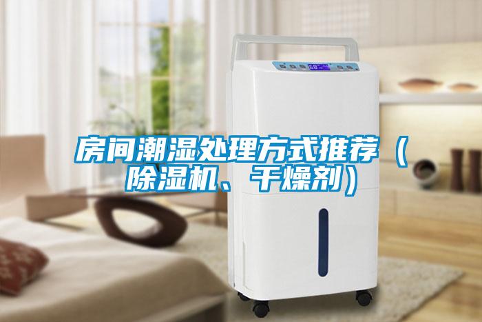 房間潮濕處理方式推薦（除濕機、干燥劑）