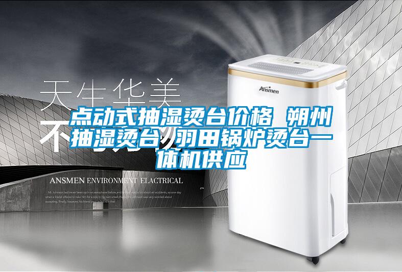 點(diǎn)動(dòng)式抽濕燙臺價(jià)格 朔州抽濕燙臺 羽田鍋爐燙臺一體機供應