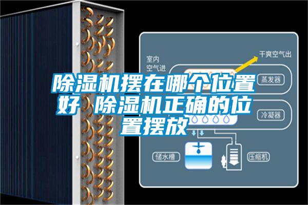 除濕機擺在哪個(gè)位置好 除濕機正確的位置擺放