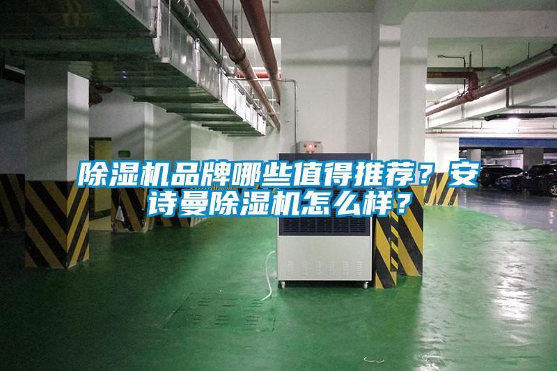 除濕機品牌哪些值得推薦？安詩(shī)曼除濕機怎么樣？