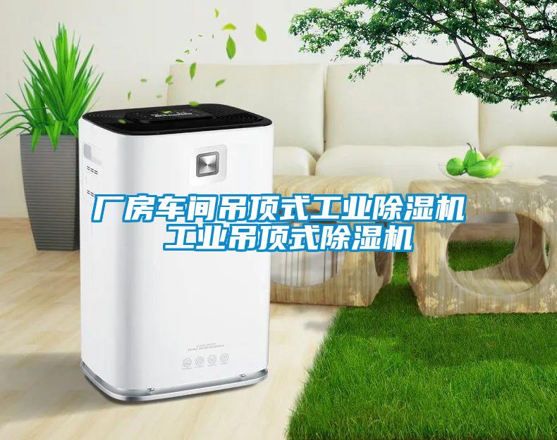 廠(chǎng)房車(chē)間吊頂式工業(yè)除濕機 工業(yè)吊頂式除濕機