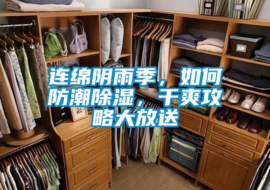 連綿陰雨季，如何防潮除濕，干爽攻略大放送
