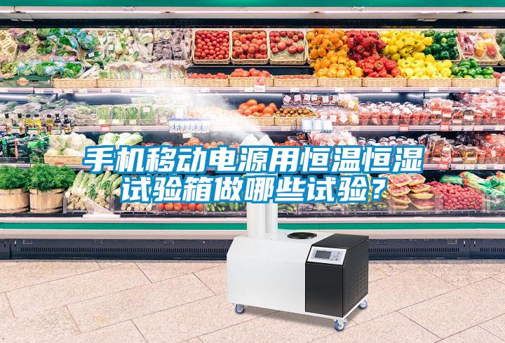 手機移動(dòng)電源用恒溫恒濕試驗箱做哪些試驗？