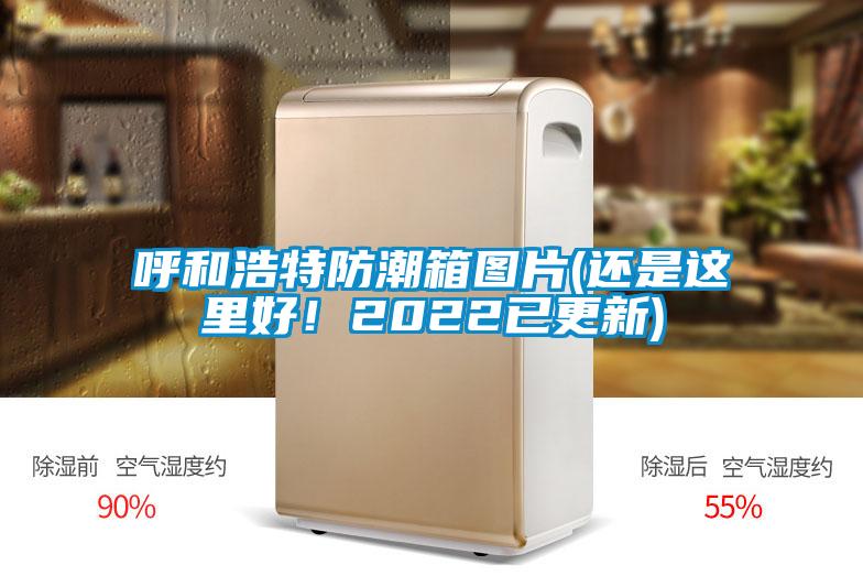 呼和浩特防潮箱圖片(還是這里好！2022已更新)