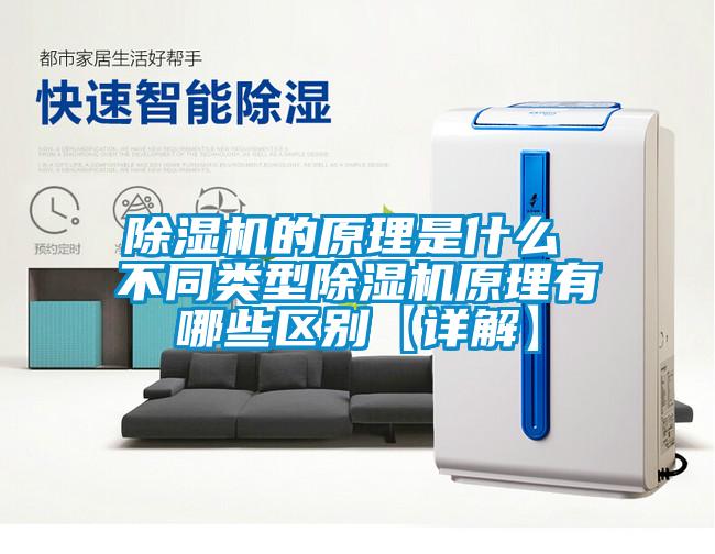 除濕機的原理是什么 不同類(lèi)型除濕機原理有哪些區別【詳解】