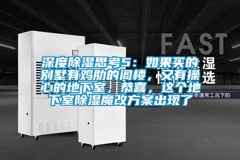 深度除濕思考5：如果買(mǎi)的別墅有雞肋的閣樓，又有操心的地下室，恭喜，這個(gè)地下室除濕魔改方案出現了