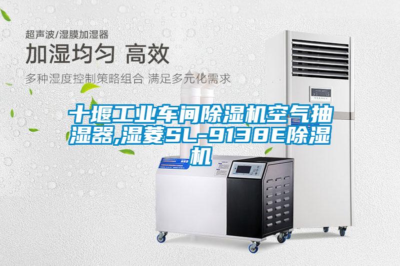 十堰工業(yè)車(chē)間除濕機空氣抽濕器,濕菱SL-9138E除濕機