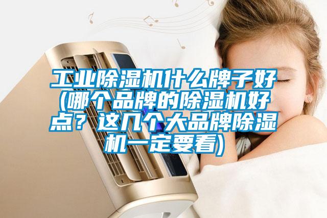 工業(yè)除濕機什么牌子好(哪個(gè)品牌的除濕機好點(diǎn)？這幾個(gè)大品牌除濕機一定要看)