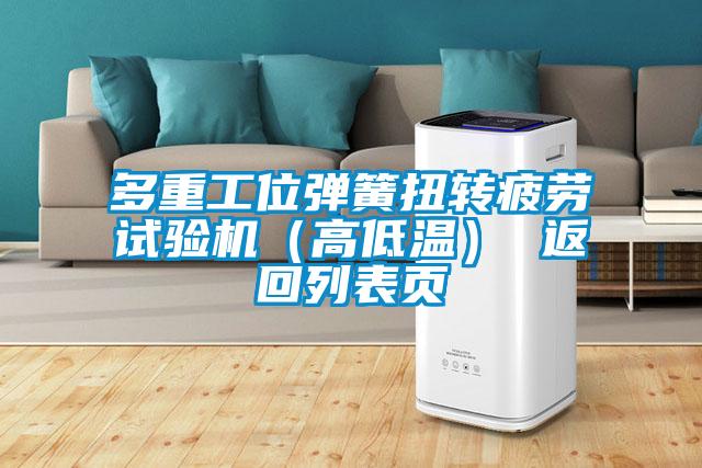 多重工位彈簧扭轉疲勞試驗機（高低溫） 返回列表頁(yè)