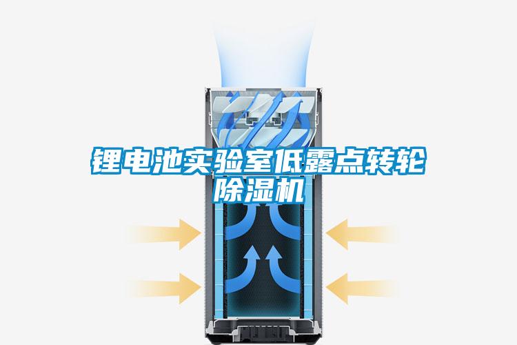 鋰電池實(shí)驗室低露點(diǎn)轉輪除濕機