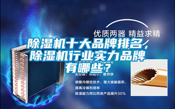 除濕機十大品牌排名，除濕機行業(yè)實(shí)力品牌有哪些？