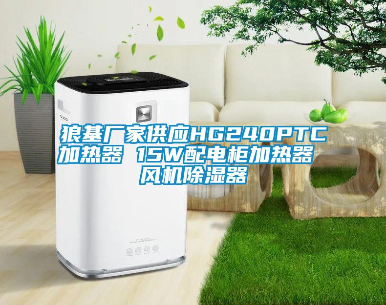 狼基廠(chǎng)家供應HG240PTC加熱器 15W配電柜加熱器 風(fēng)機除濕器