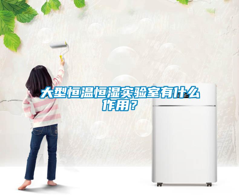 大型恒溫恒濕實(shí)驗室有什么作用？