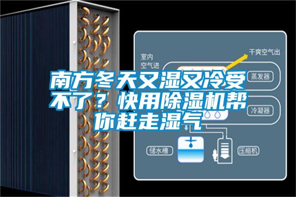 南方冬天又濕又冷受不了？快用除濕機幫你趕走濕氣