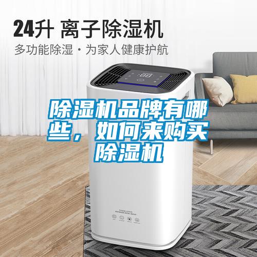 除濕機品牌有哪些，如何來(lái)購買(mǎi)除濕機