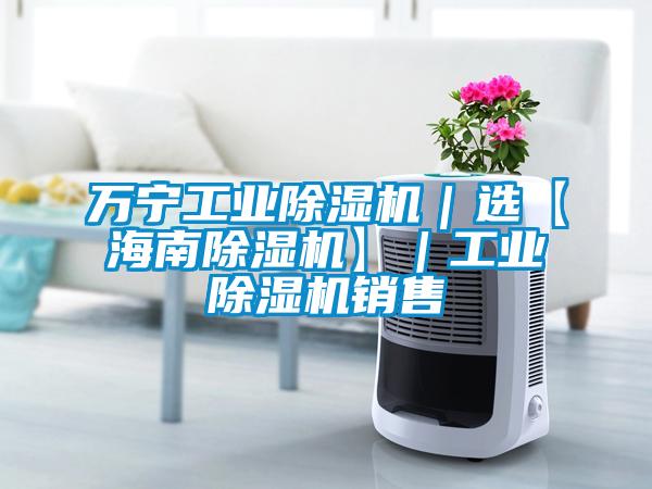 萬(wàn)寧工業(yè)除濕機｜選【海南除濕機】｜工業(yè)除濕機銷(xiāo)售
