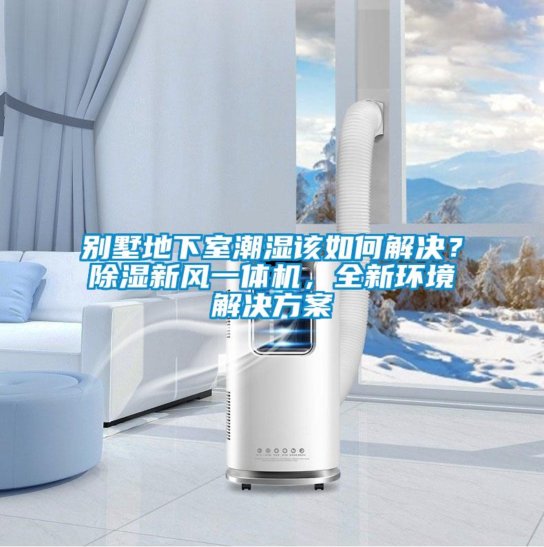 別墅地下室潮濕該如何解決？除濕新風(fēng)一體機，全新環(huán)境解決方案