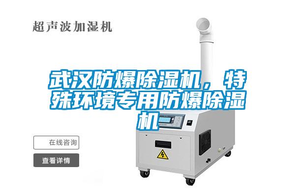 武漢防爆除濕機，特殊環(huán)境專(zhuān)用防爆除濕機