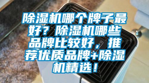 除濕機哪個(gè)牌子最好？除濕機哪些品牌比較好，推薦優(yōu)質(zhì)品牌+除濕機精選！