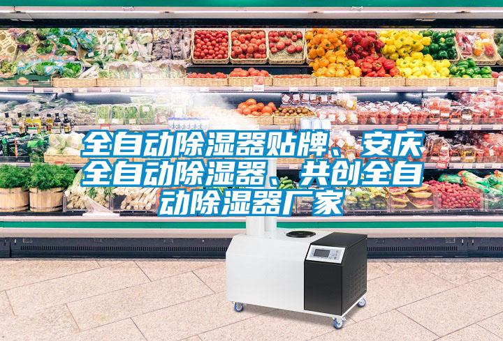 全自動(dòng)除濕器貼牌、安慶全自動(dòng)除濕器、共創(chuàng  )全自動(dòng)除濕器廠(chǎng)家
