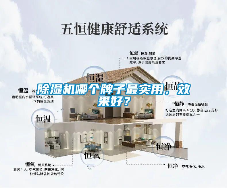 除濕機哪個(gè)牌子最實(shí)用，效果好？