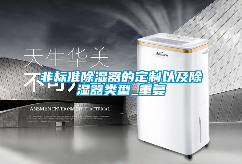 非標準除濕器的定制以及除濕器類(lèi)型_重復