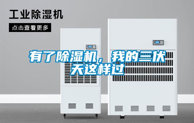 有了除濕機，我的三伏天這樣過(guò)