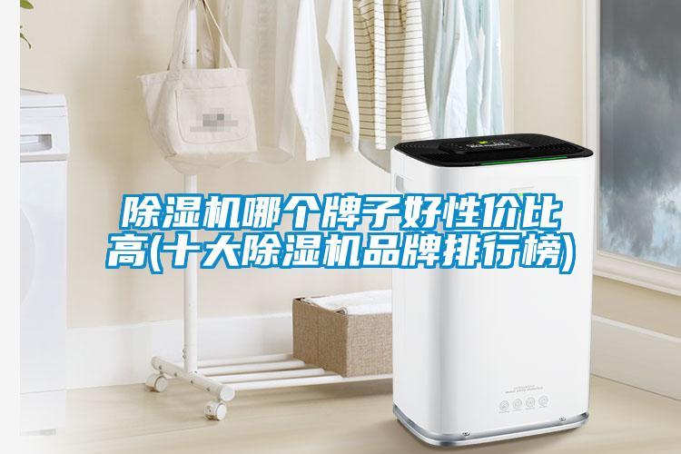 除濕機哪個(gè)牌子好性?xún)r(jià)比高(十大除濕機品牌排行榜)