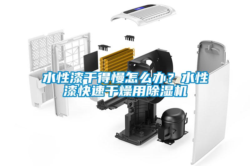 水性漆干得慢怎么辦？水性漆快速干燥用除濕機