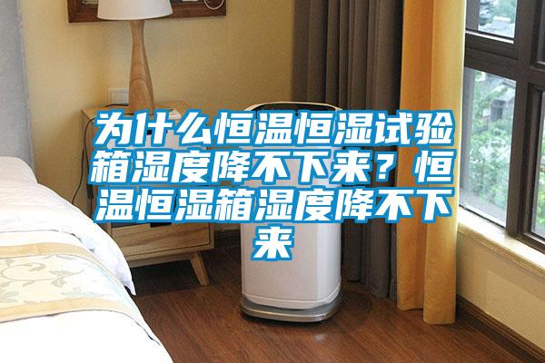 為什么恒溫恒濕試驗箱濕度降不下來(lái)？恒溫恒濕箱濕度降不下來(lái)
