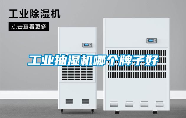 工業(yè)抽濕機哪個(gè)牌子好