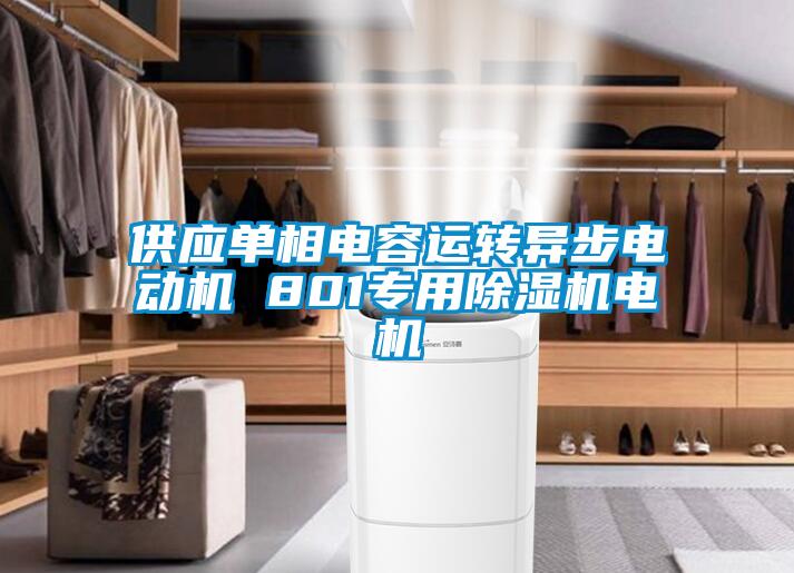 供應單相電容運轉異步電動(dòng)機 801專(zhuān)用除濕機電機