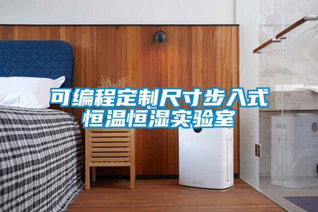 可編程定制尺寸步入式恒溫恒濕實(shí)驗室