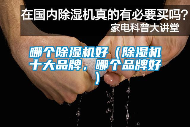 哪個(gè)除濕機好（除濕機十大品牌，哪個(gè)品牌好）