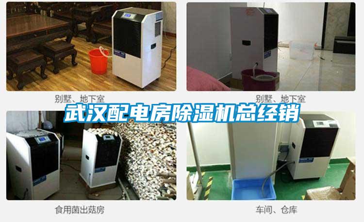 武漢配電房除濕機總經(jīng)銷(xiāo)