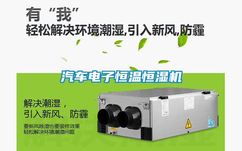 汽車(chē)電子恒溫恒濕機