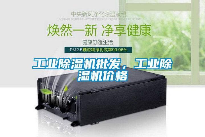 工業(yè)除濕機批發(fā)，工業(yè)除濕機價(jià)格