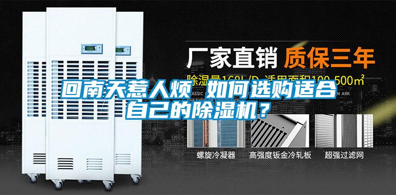 回南天惹人煩 如何選購適合自己的除濕機？