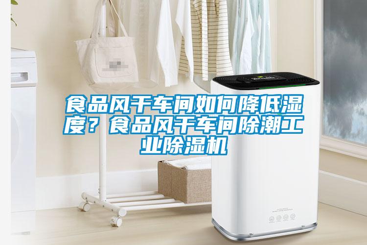 食品風(fēng)干車(chē)間如何降低濕度？食品風(fēng)干車(chē)間除潮工業(yè)除濕機